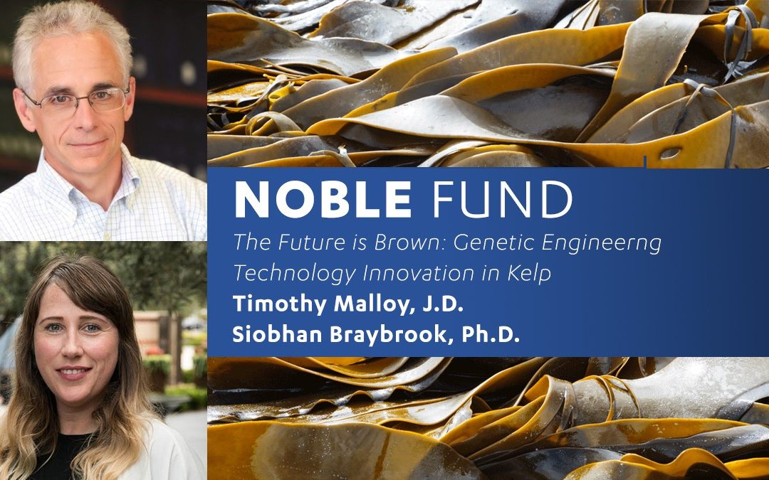 Elman Fund Seminar: Timothy Malloy; Siobhan Braybrook