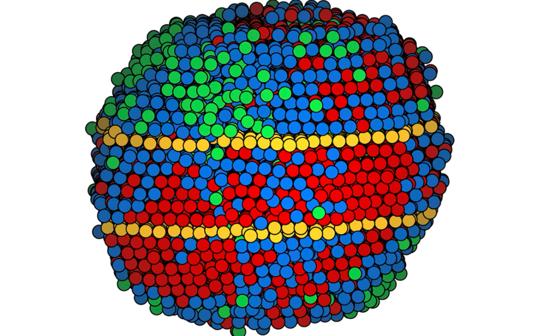 December 20, 2023 | 3D atomic details of next-generation alloys revealed for first time
