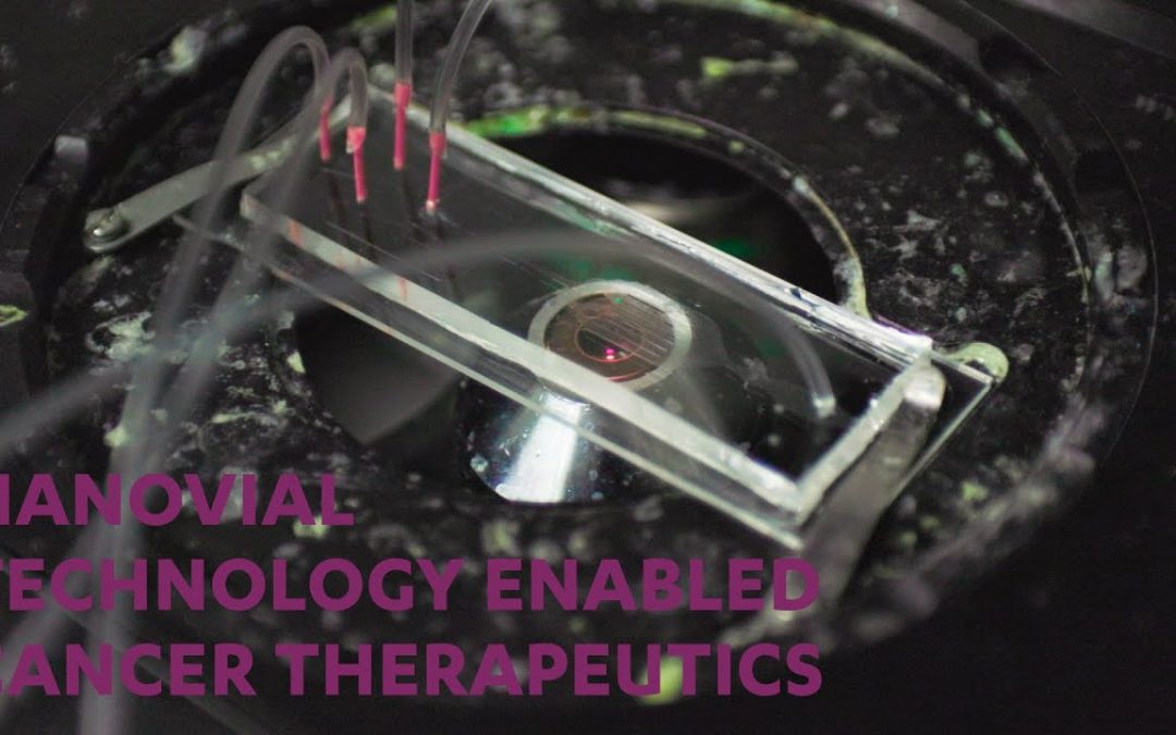 Discovery of functional T cell receptors for prostatic acid phosphatase using nanovial technology