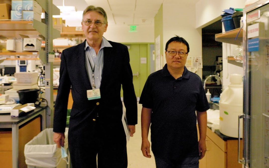 Noble Innovation Fund researchers create therapeutic liver therapy for peanut allergy & anaphylaxis