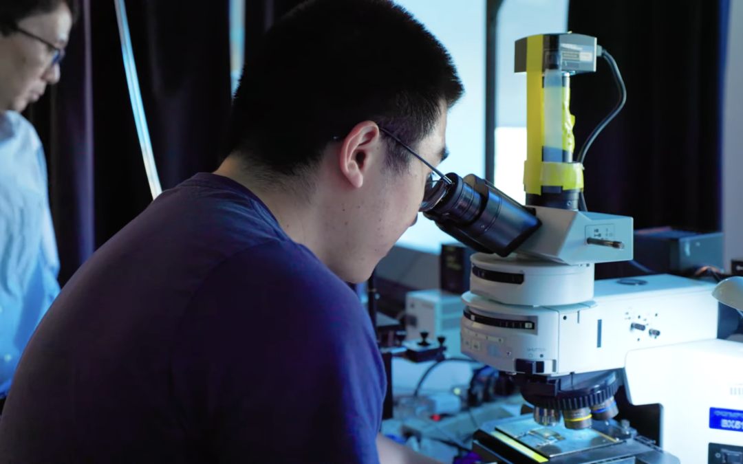 Noble Fund scientists use particles of light for neural networks and ai-based cameras