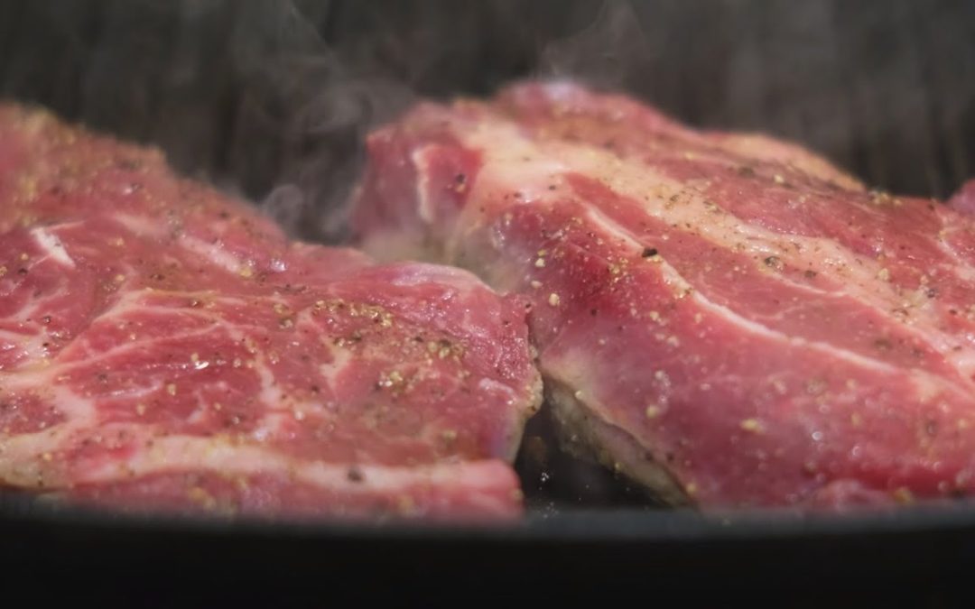 Noble Fund research explores precision cultured meat using edible and scalable scaffolds