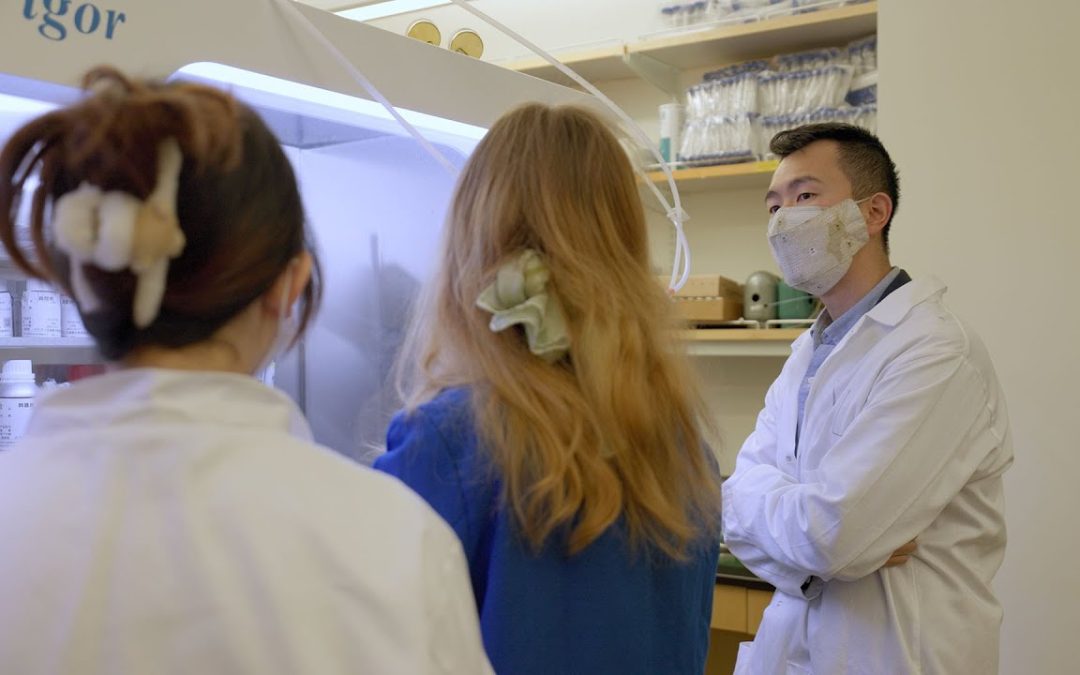 Noble Fund researchers further an approach for energy storage based on abundant, nontoxic zinc