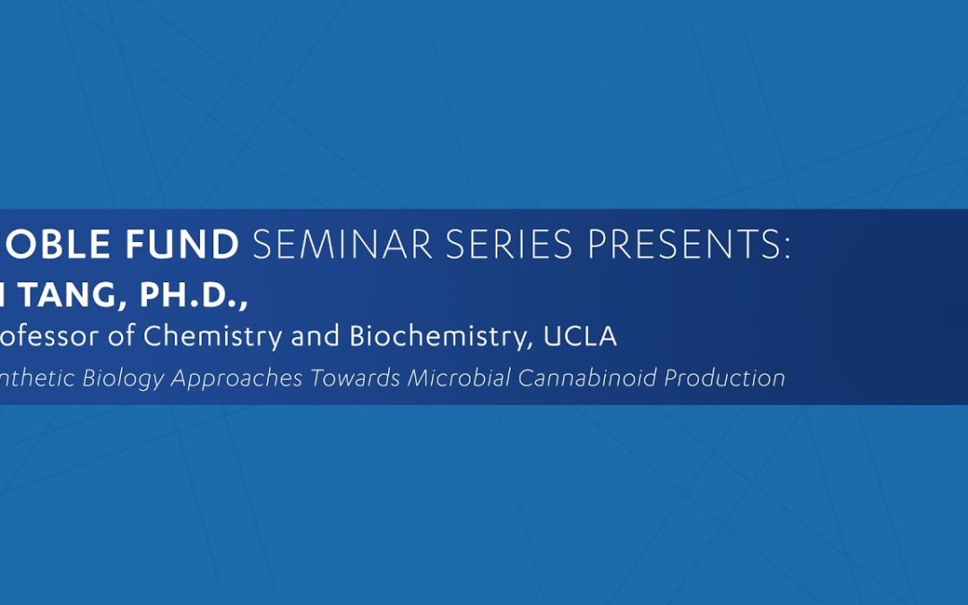 Elman Fund Seminar: Yi Tang