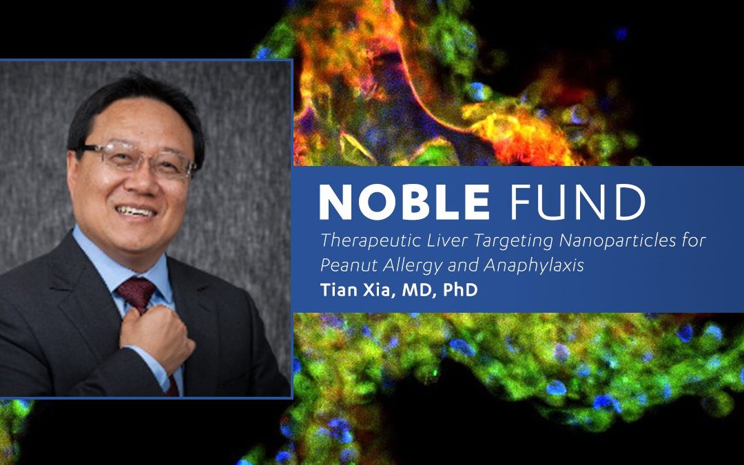 Elman Fund Seminar: Tian Xia