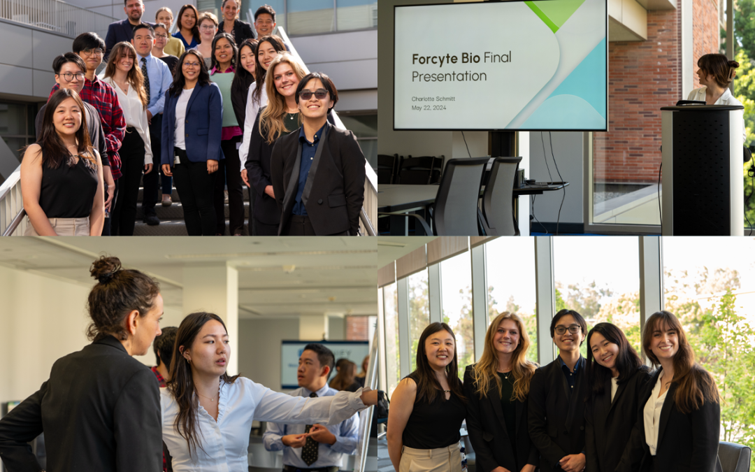 September 3, 2024 | CNSI’s Magnify Internship Program celebrates second year cohort