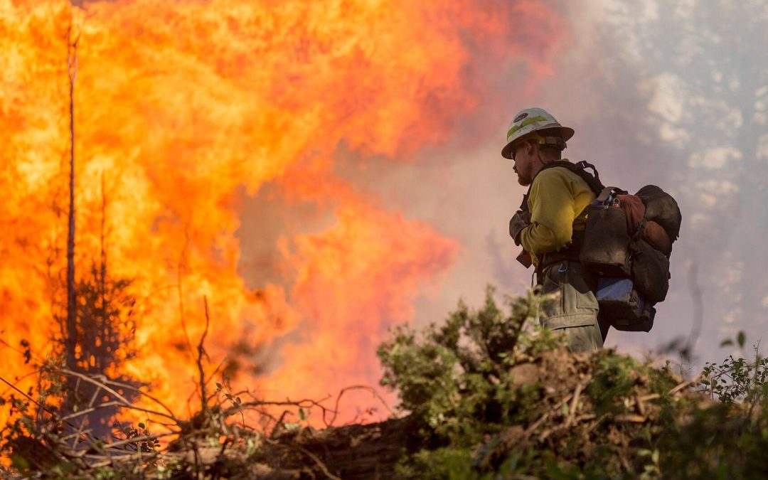 October 28, 2024 | Chemicals produced by fires show potential to raise cancer risk