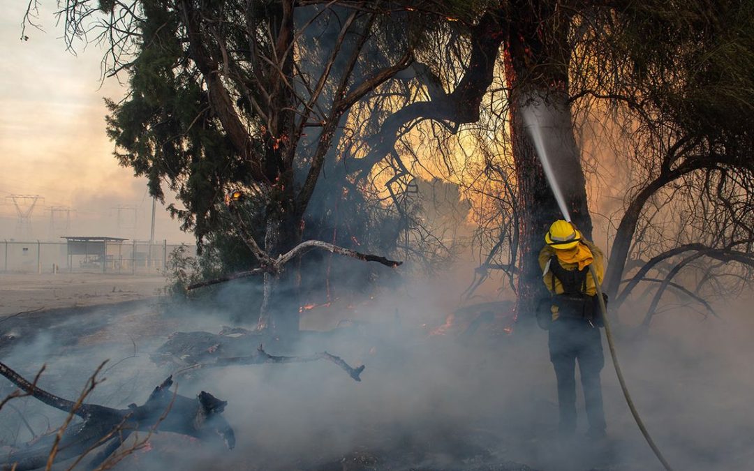 January 24, 2025 | Air quality after the fires: Understanding where and when the air is safe
