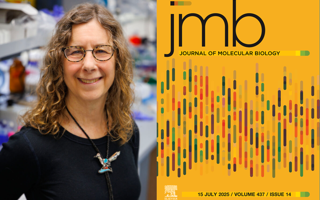 May 8, 2025 | CNSI Member Juli Feigon Named one of JMB’s “Pioneers in Molecular Biology”