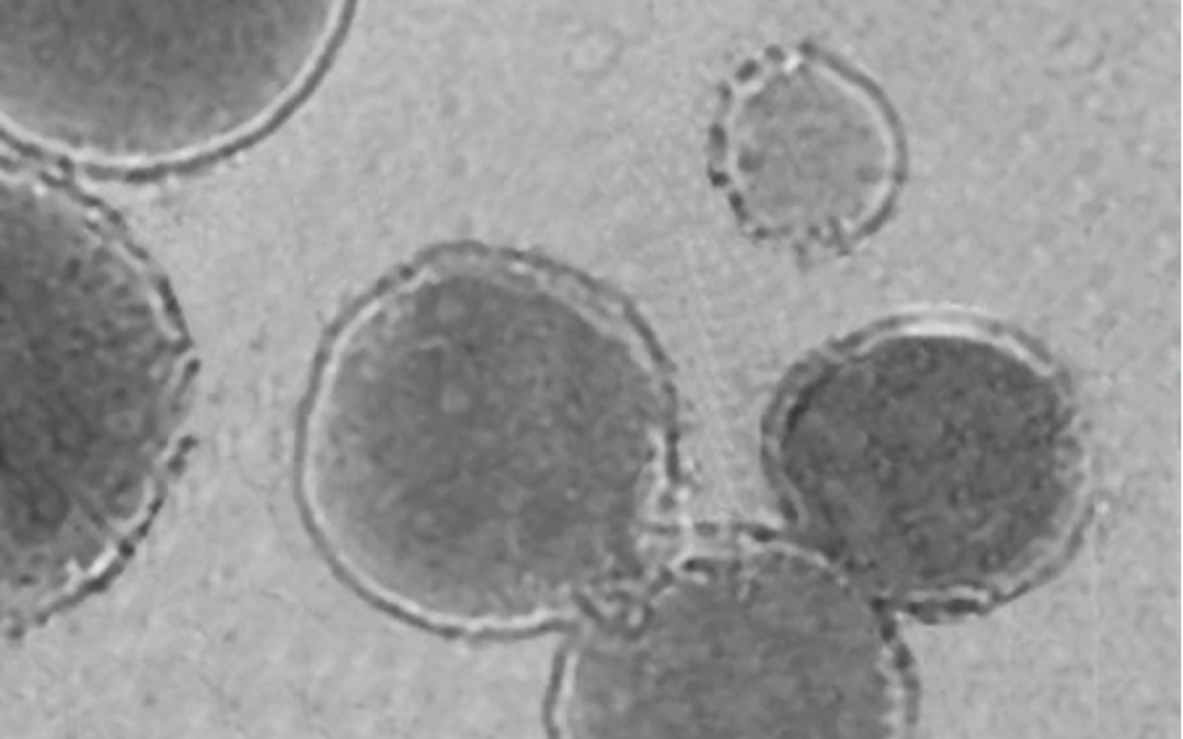 May 12, 2025 | 3D Printing In Vivo Using Sound