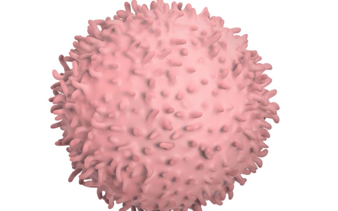 January 27, 2026 | COVID-19 viral fragments shown to target and kill specific immune cells in UCLA-led study