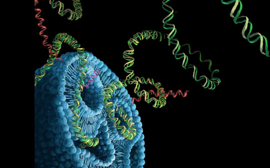 February 17, 2026 | Nanoparticle-based gene editing could expand treatment options for cystic fibrosis