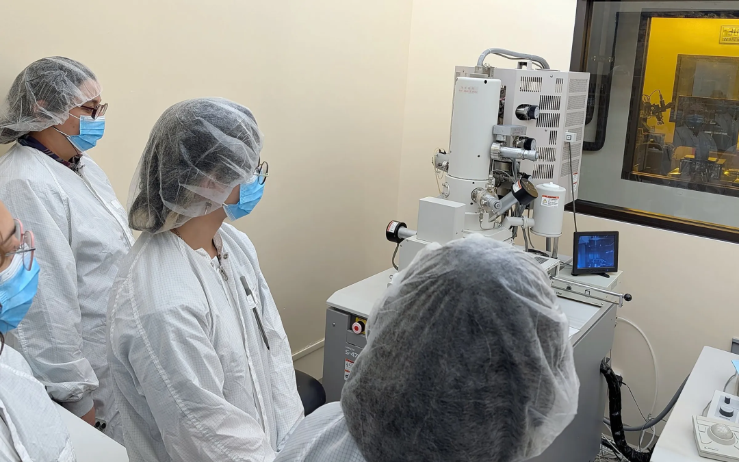 March 20, 2026 | IEEE Partners With Academia to Create Microcredential Programs