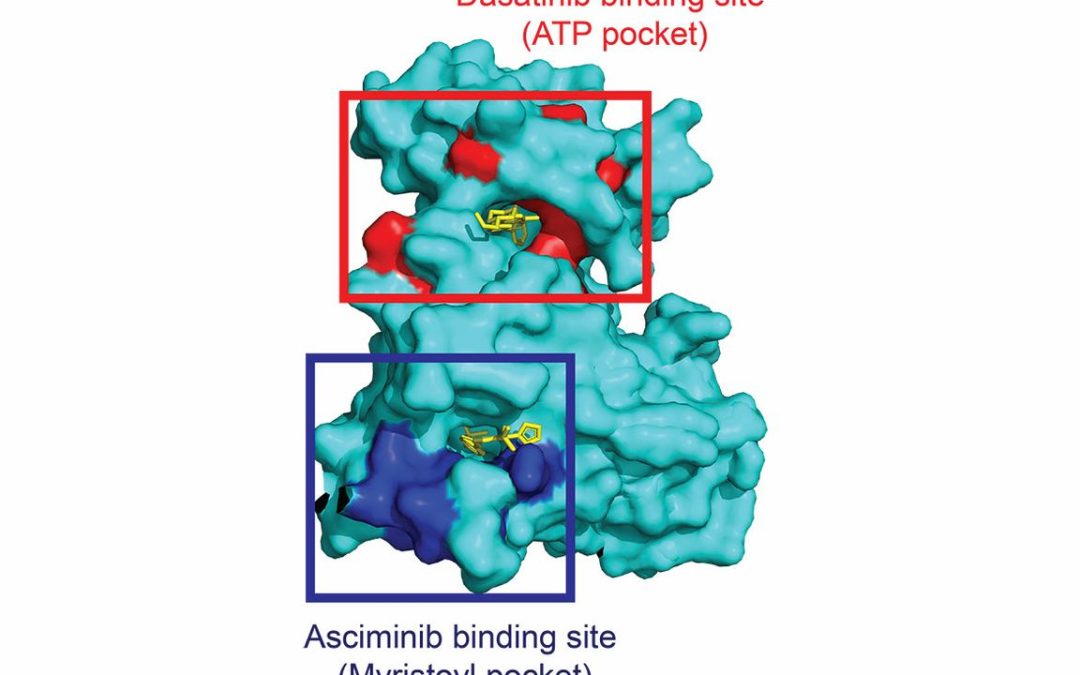April 28, 2026 | UCLA research improves molecular probe for drug discovery 