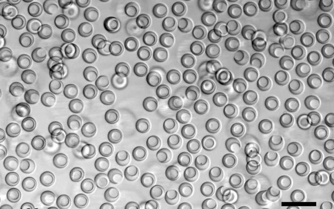 June 23, 2026 | Can scientists learn cells’ language? UCLA-led team aims to decode cellular conversations